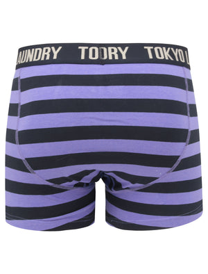 Neville 2 (2 Pack) Striped Boxer Shorts Set in Baja Blue / Sky Captain Navy - Tokyo Laundry
