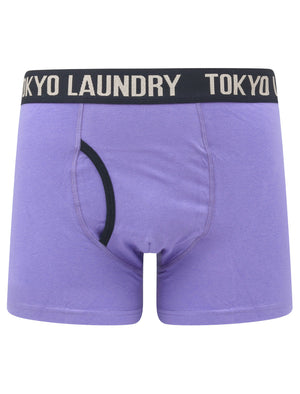 Neville 2 (2 Pack) Striped Boxer Shorts Set in Baja Blue / Sky Captain Navy - Tokyo Laundry