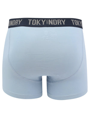 Northiam (2 Pack) Striped Boxer Shorts Set in Blue Fog / Sky Captain Navy - Tokyo Laundry