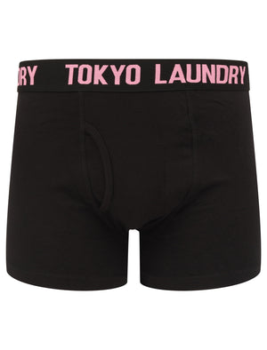Parkfields (2 Pack) Boxer Shorts Set in Sachet Pink / Blazing Orange - Tokyo Laundry
