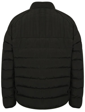 Brayfield Quilted Jacket with Stand Collar in Black - Dissident