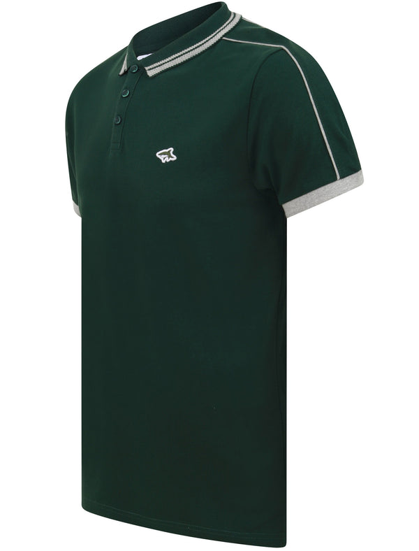 Maples 2 Cotton Pique Polo Shirt with Tipping In Pine Grove - Le Shark
