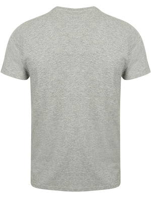 Warriors Crew Neck T-Shirt with Motif in Light Grey Marl - South Shore
