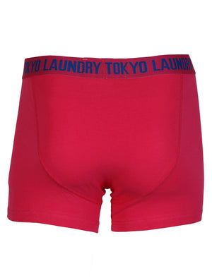 Bobbie (2 Pack) Striped Boxer Shorts Set in Raspberry Sorbet / Ocean Blue - Tokyo Laundry