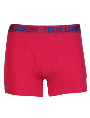 Bobbie (2 Pack) Striped Boxer Shorts Set in Raspberry Sorbet / Ocean Blue - Tokyo Laundry