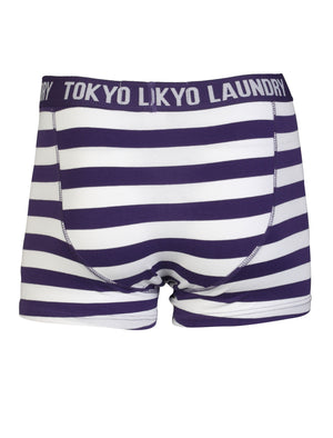 Otterlake (2 Pack) Boxer Shorts Set in Washed Prune / Yolk Yellow - Tokyo Laundry