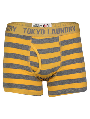 Otterlake (2 Pack) Boxer Shorts Set in Washed Prune / Yolk Yellow - Tokyo Laundry