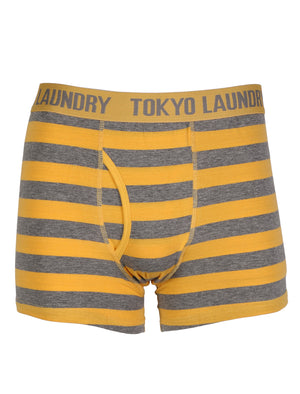 Roman ( 2 Pack) Boxer Shorts Set in Mid Grey Marl / Yolk Yellow - Tokyo Laundry
