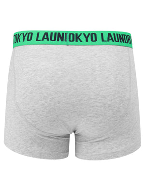 Brightlingsea 2 (2 Pack) Striped Boxer Shorts Set In Simply Green / Grey Marl - Tokyo Laundry