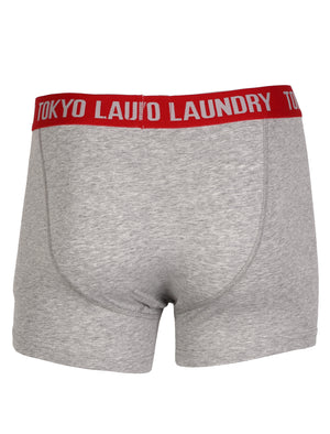 Camden (2 Pack) Boxer Shorts Set in Tokyo Red / Light Grey Marl - Tokyo Laundry
