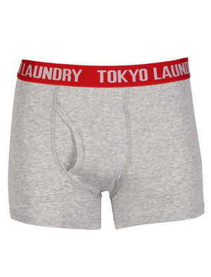Camden (2 Pack) Boxer Shorts Set in Tokyo Red / Light Grey Marl - Tokyo Laundry