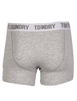 Camden (2 Pack) Boxer Shorts Set in Light Grey Marl / Deep Teal - Tokyo Laundry