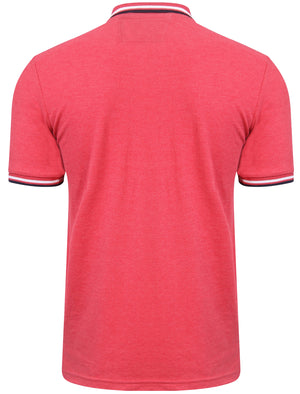 Goodwin Point Stripe Collar Polo Shirt in Tokyo Red Marl - Tokyo Laundry