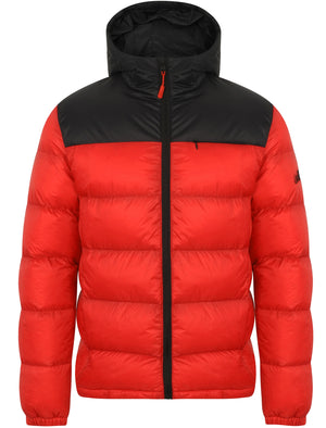 Hakim Colour Block Quilted Puffer Jacket with Hood In Red - Tokyo Laundry