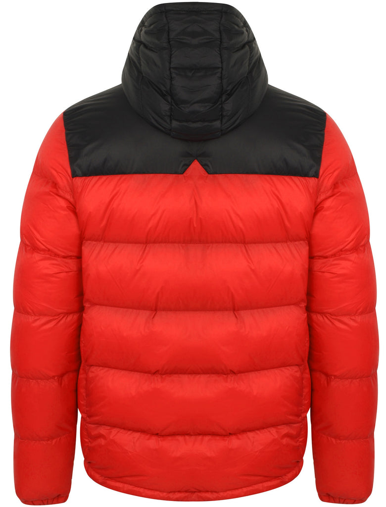 Hakim Colour Block Quilted Puffer Jacket with Hood In Red Tokyo Laun Tokyo Laundry