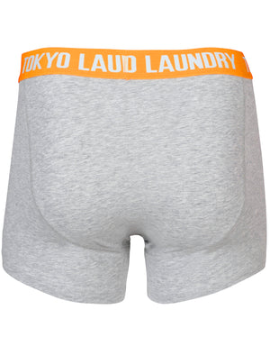 Halcrow ( 2 Pack ) Boxer Shorts Set in Virdian Green / Orange - Tokyo Laundry