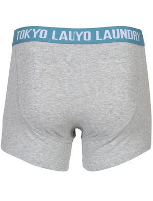 Heiron (2 Pack) Boxer Shorts Set in Paradise Pink / Niagara Blue - Tokyo Laundry