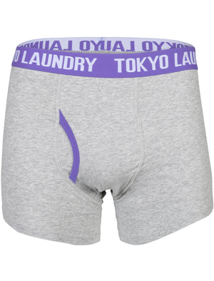 Heiron (2 Pack) Boxer Shorts Set in Harvest Pumpkin / Purple Opulence - Tokyo Laundry
