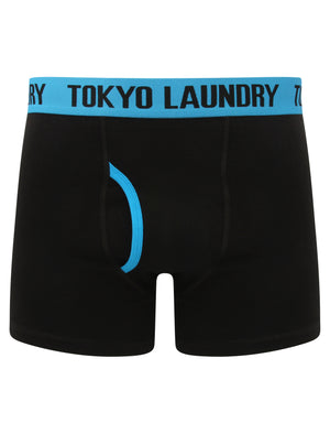 Hydes (2 Pack) Boxer Shorts Set in Swedish Blue / Paradise Pink - Tokyo Laundry