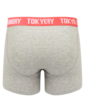 Hydes (2 Pack) Boxer Shorts Set in Swedish Blue / Paradise Pink - Tokyo Laundry