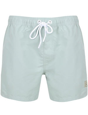Kamari Swim Shorts In Pale Mint - Tokyo Laundry