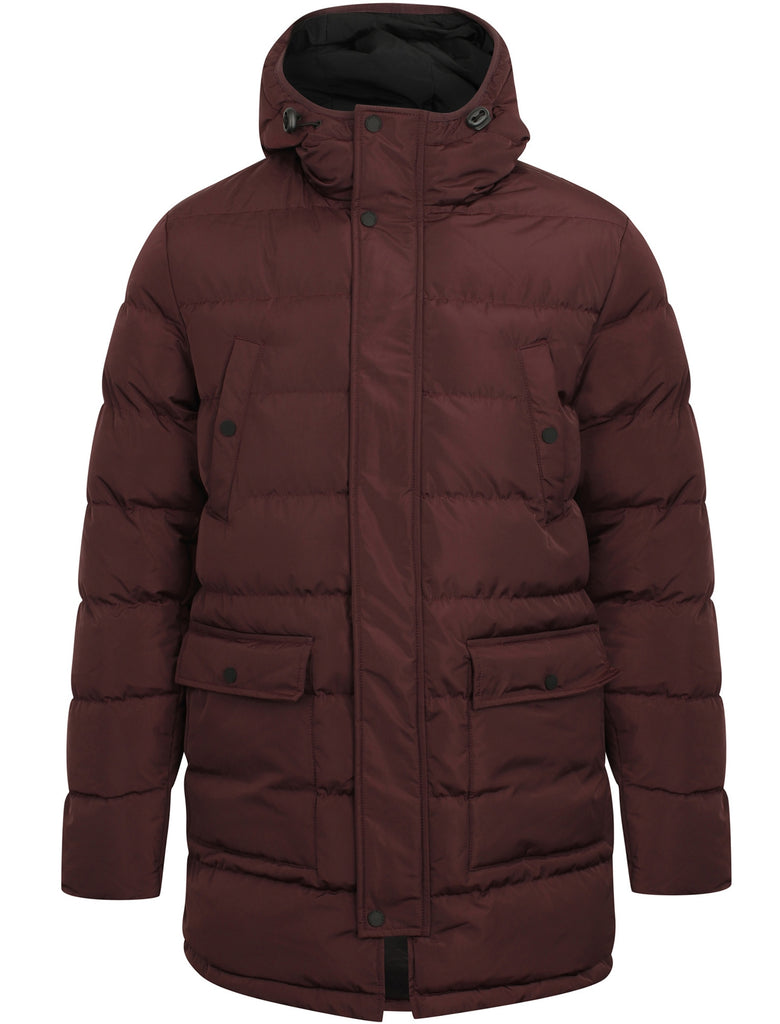Aubergine padded best sale coat