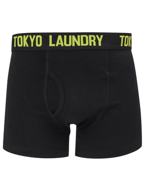 Murray 2 (2 Pack) Boxer Shorts Set in Green Glow / Rose Violet - Tokyo Laundry