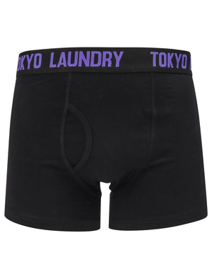 Murray (2 Pack) Boxer Shorts Set in Solar Yellow / Purple Opulence - Tokyo Laundry