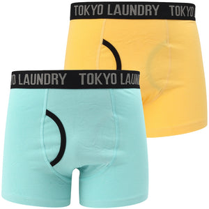 Nantes (2 Pack) Boxer Shorts Set In Bananna Cream / Aqua Haze - Tokyo Laundry