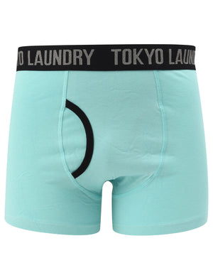 Nantes (2 Pack) Boxer Shorts Set In Bananna Cream / Aqua Haze - Tokyo Laundry
