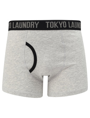 Nantes (2 Pack) Boxer Shorts Set In Light Grey Marl / Angel Falls Blue - Tokyo Laundry