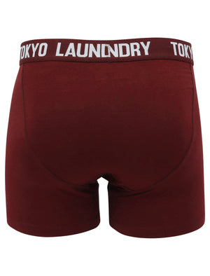 Nash 2 (2 Pack) Boxer Shorts Set in Blue Fog / Port Royale - Tokyo Laundry