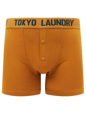 Nash 2 (2 Pack) Boxer Shorts Set in Pine Grove / Buckthorn Brown - Tokyo Laundry
