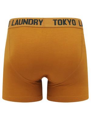 Nash 2 (2 Pack) Boxer Shorts Set in Pine Grove / Buckthorn Brown - Tokyo Laundry
