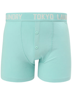 Nash (2 Pack) Boxer Shorts Set in Aqua Haze / Illusion Blue - Tokyo Laundry