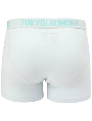 Nash (2 Pack) Boxer Shorts Set in Aqua Haze / Illusion Blue - Tokyo Laundry