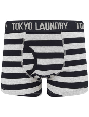 Neville (2 Pack) Striped Boxer Shorts Set In Light Grey Marl / Sky Captain Navy - Tokyo Laundry
