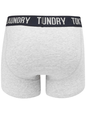 Neville (2 Pack) Striped Boxer Shorts Set In Light Grey Marl / Sky Captain Navy - Tokyo Laundry
