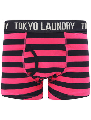 Neville (2 Pack) Striped Boxer Shorts Set In Raspberry Rose / Sky Captain Navy - Tokyo Laundry