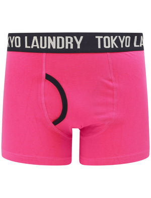 Neville (2 Pack) Striped Boxer Shorts Set In Raspberry Rose / Sky Captain Navy - Tokyo Laundry