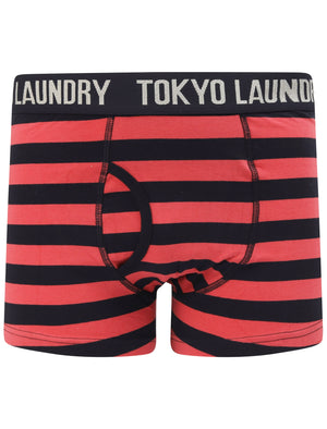 Newtown (2 Pack) Striped Boxer Shorts Set In Light Grey Marl / Baroque Rose - Tokyo Laundry