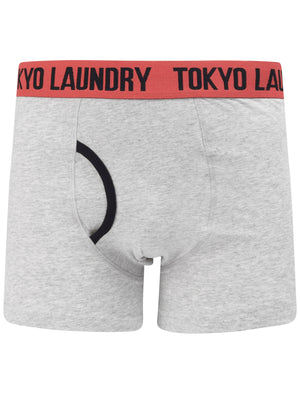 Newtown (2 Pack) Striped Boxer Shorts Set In Light Grey Marl / Baroque Rose - Tokyo Laundry