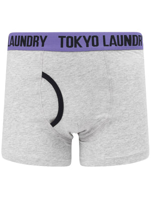 Newtown (2 Pack) Striped Boxer Shorts Set In Light Grey Marl / Purple Opulence - Tokyo Laundry