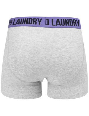 Newtown (2 Pack) Striped Boxer Shorts Set In Light Grey Marl / Purple Opulence - Tokyo Laundry