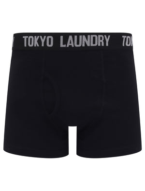 Oceana (2 Pack) Boxer Shorts Set in Placid Blue / Light Grey Marl - Tokyo Laundry