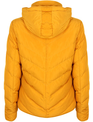 Oracle Chevron Quilted Hooded Puffer Jacket in Old Gold - Tokyo Laundry