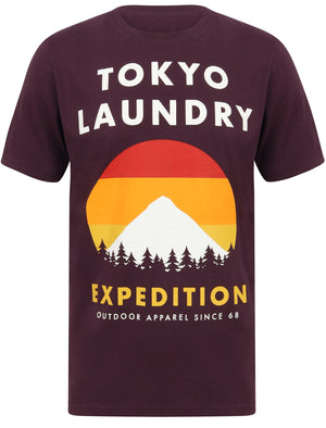 Platfield Motif Cotton Jersey T-Shirt In Plum Perfect - Tokyo Laundry