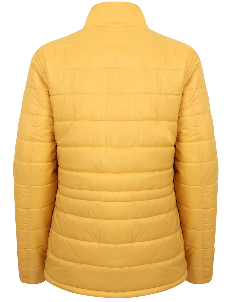 Syros Light Packaway Funnel Neck Quilted Jacket in Golden Apricot To Tokyo Laundry