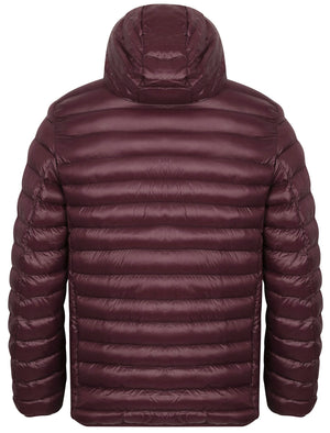 Torbock Quilted Puffer Jacket in Winetasting - Tokyo Laundry