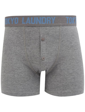 Whitham 2 (2 Pack) Boxer Shorts Set in Federal Blue / Mid Grey Marl - Tokyo Laundry